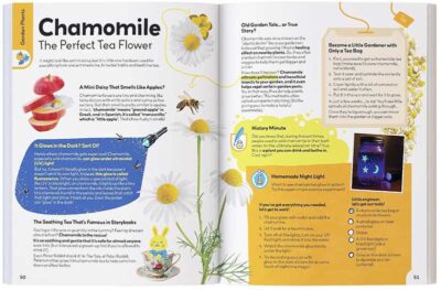 My First Plant Book by Nicole Apelian - Image 3