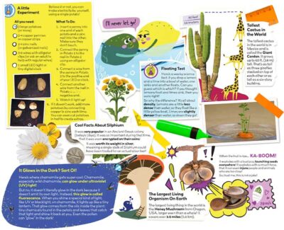 My First Plant Book by Nicole Apelian - Image 4
