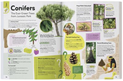 My First Plant Book by Nicole Apelian - Image 5