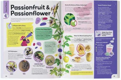 My First Plant Book by Nicole Apelian - Image 10