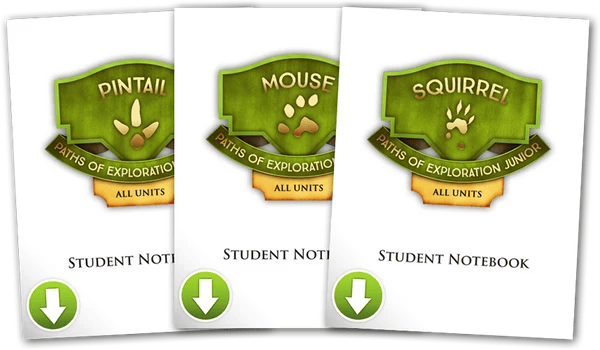 Exploration Junior Notebook – All Levels