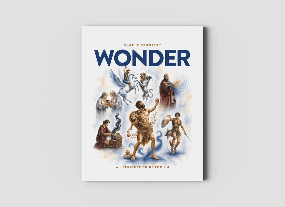 Simple Studies: Wonder