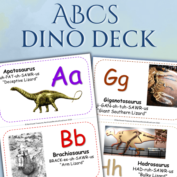 ABCs Dino Deck