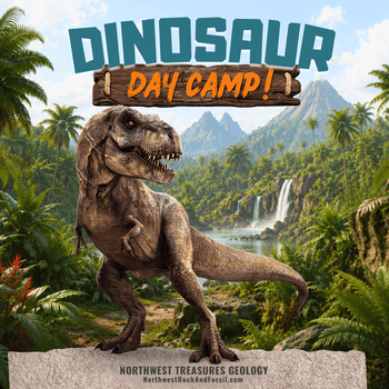 Dinosaur Day Camp
