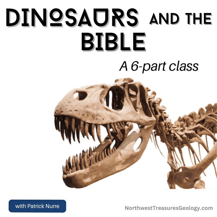 Dinosaurs and the Bible