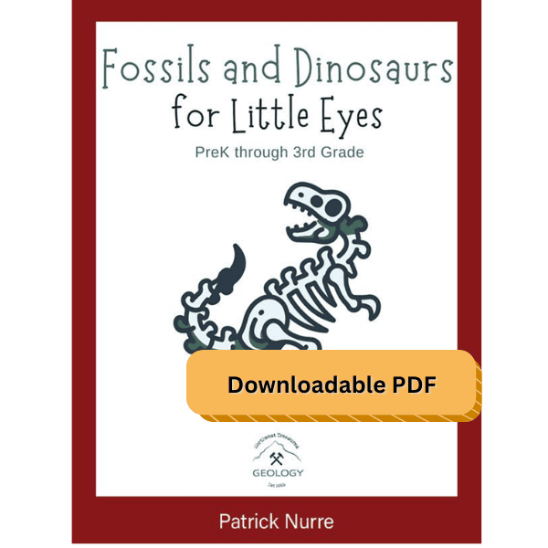 Fossils and Dinosaurs for Little Eyes